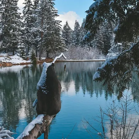 Forest Princess - Happy Apartman *