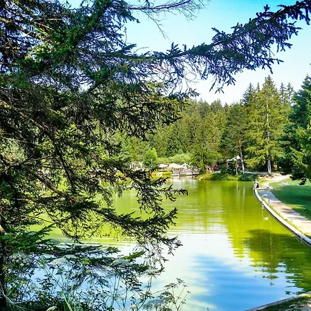 Forest Princess - Happy