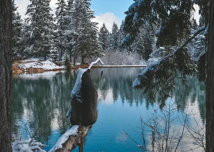 Forest Princess - Happy Appartamento *