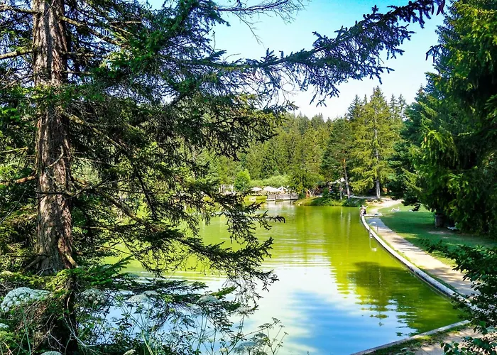 Forest Princess - Happy